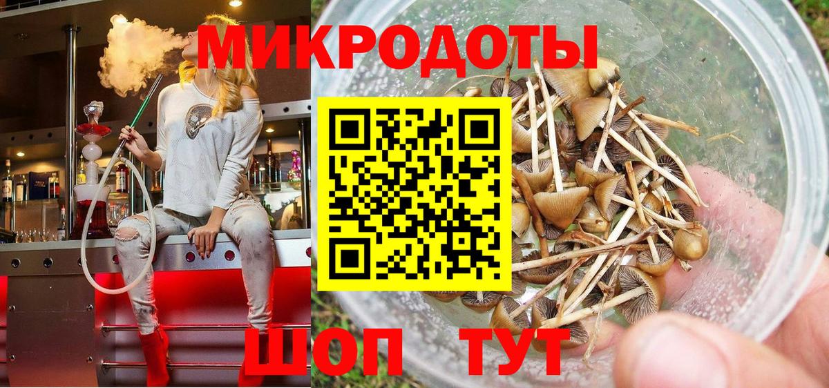 Галлюциногенные грибы прущие грибы Протвино