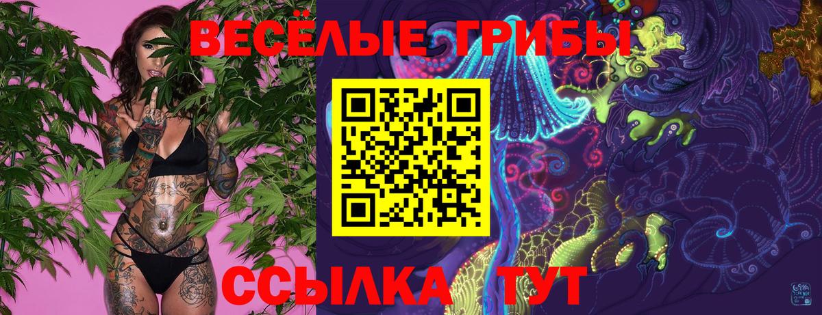 Протвино  Псилоцибиновые грибы Magic Shrooms  Вход с VPN 